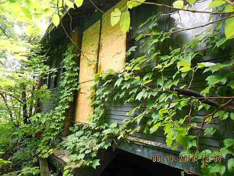 9727 Dundee (7)_m.jpg